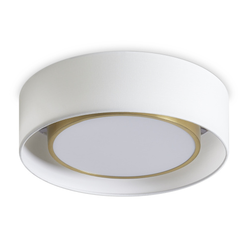 Потолочный светильник Freya FR6170CL-L52BS фото 3