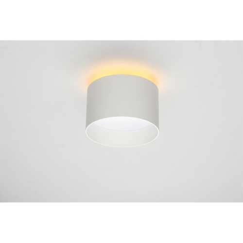 Светильник настенно-потолочный OML-100419-16 фото 5 Светильник настенно-потолочный OML-100419-16 фото 5