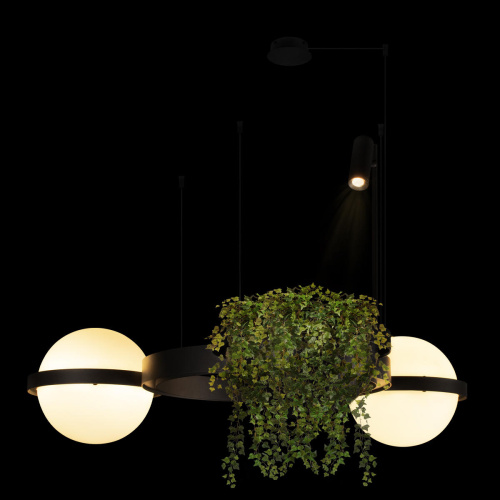 10121/2 Подвесной светильник LOFT IT Jardin фото 7