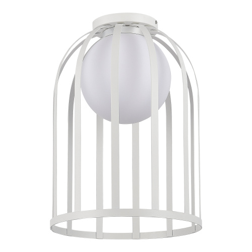 SL6129.502.01 Светильник потолочный ST-Luce Белый/Белый E27 1*60W NORDIC фото 5