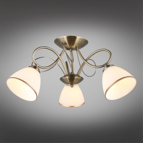 Люстра потолочная OML-25307-03 фото 3