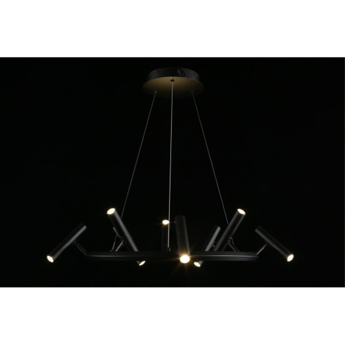 Люстра подвесная APL.067.03.40 фото 10