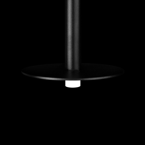 10358/830 Disk Подвесной светильник LOFT IT Reed фото 9 10358/830 Disk Подвесной светильник LOFT IT Reed фото 9