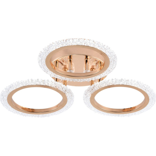 Потолочная светодиодная люстра Rivoli Evlalia 6178-703 Б0068399 фото 10