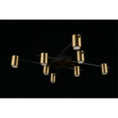 Люстра потолочная APL.633.07.08 фото 13