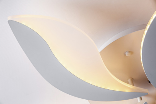 Потолочный светильник Escada 10214/SG LED*60W White фото 6