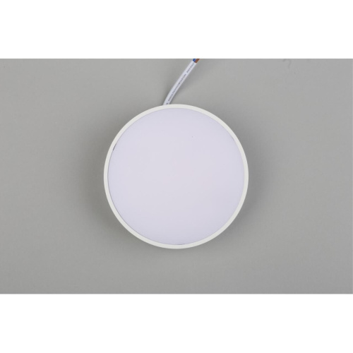 Светильник настенно-потолочный APL.0114.09.12 фото 7 Светильник настенно-потолочный APL.0114.09.12 фото 7