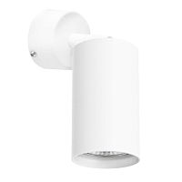 Комплект со светильником Lightstar Rullo (214436+590006) RB436