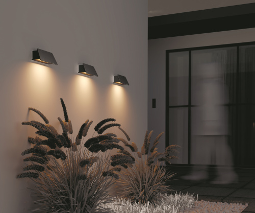 Уличный настенный светильник Outdoor O429WL-L6GF3K фото 6 Уличный настенный светильник Outdoor O429WL-L6GF3K фото 6