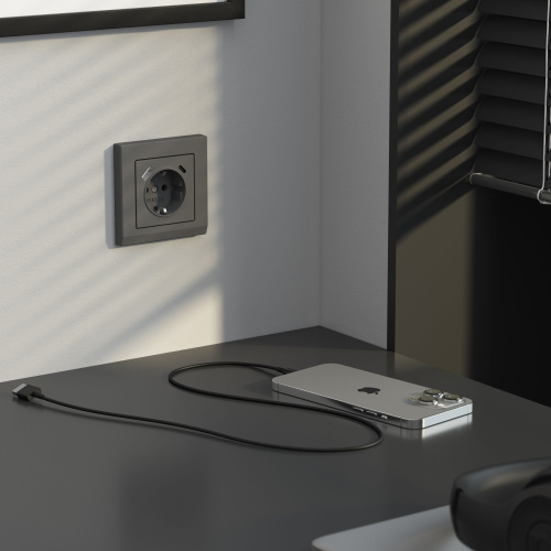 Розетка с заземлением, шторками и USB тип A+C (графит матовый) W1171764 фото 5 Розетка с заземлением, шторками и USB тип A+C (графит матовый) W1171764 фото 5