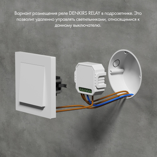 RL1001-SM/1 Одноканальное Wi-Fi реле-выключатель 1 x 2300 Вт / 250 Вт для LED фото 3