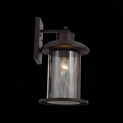 SL080.401.01 Светильник уличный настенный ST-Luce Темный кофе/Прозрачный, Темный кофе E27 1*60W LASTERO фото 9