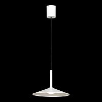 Подвесной светильник Lussole REFUGIO LSP-7432