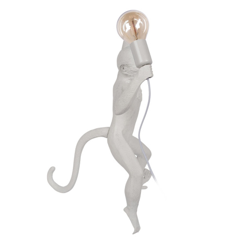 10314W/A Настенный светильник LOFT IT Monkey фото 3 10314W/A Настенный светильник LOFT IT Monkey фото 3