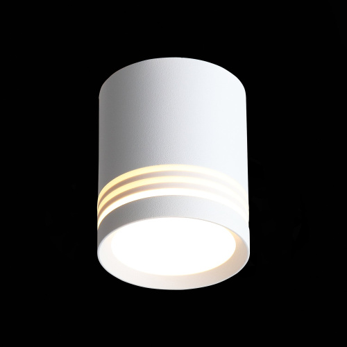 ST101.542.05 Светильник потолочный Белый LED 1*5W 4000K 390Lm Ra>80 120° IP20 D68xH80 170-240V Накладные светильники фото 4