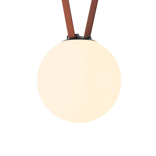 DK5555-BK Cветильник для трека-ремня Belty, серия Orb, со светодиодом, D230*H236мм, 48V DC, 15W, RA90, 120°, 3000K, IP20, черный, акрил фото 6
