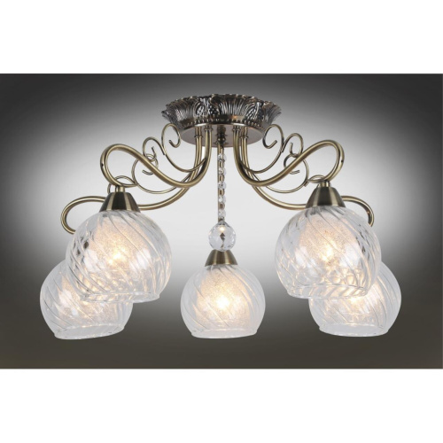 Люстра потолочная OML-53507-05 фото 3