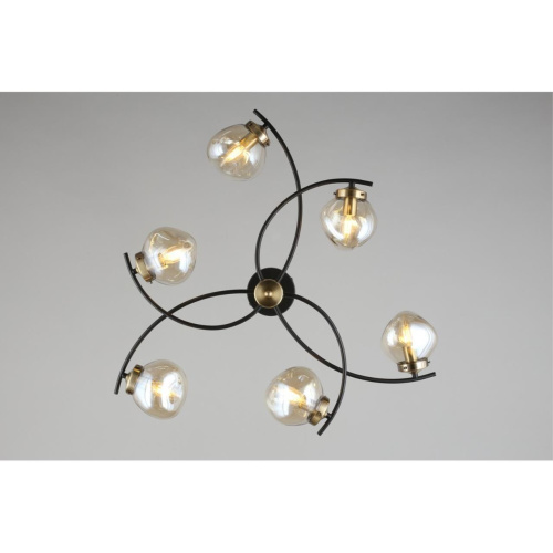 Люстра потолочная OML-95307-06 фото 4