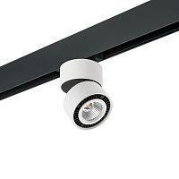 Комплект с трековым светильником Lightstar Forte Muro (595061+213816) PRO213816