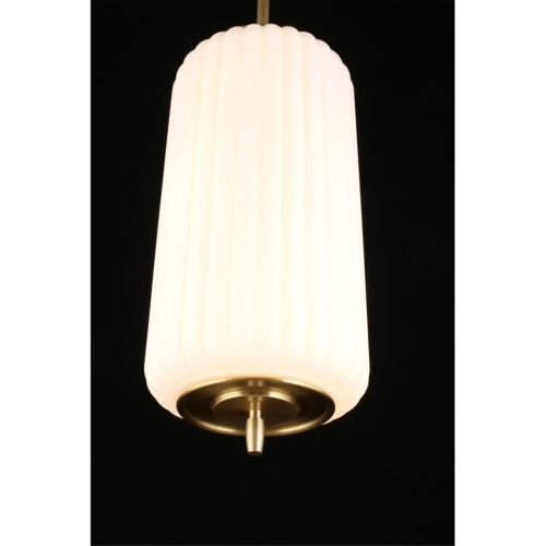 Светильник подвесной APL.807.06.06 фото 10