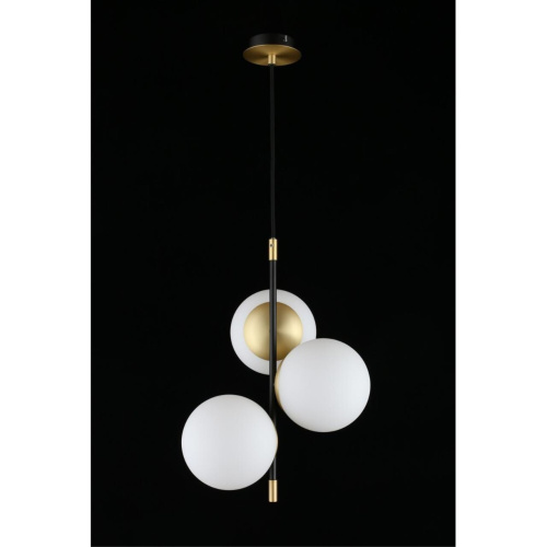 Светильник подвесной APL.313.06.03 фото 9 Светильник подвесной APL.313.06.03 фото 9