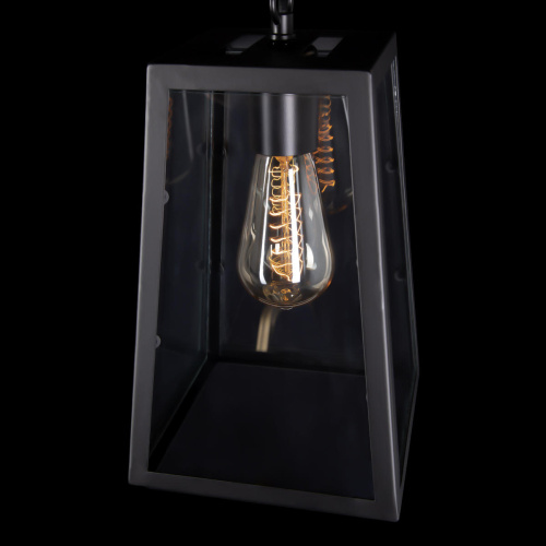 LOFT1127 Подвесной светильник LOFT IT Modern filament фото 5