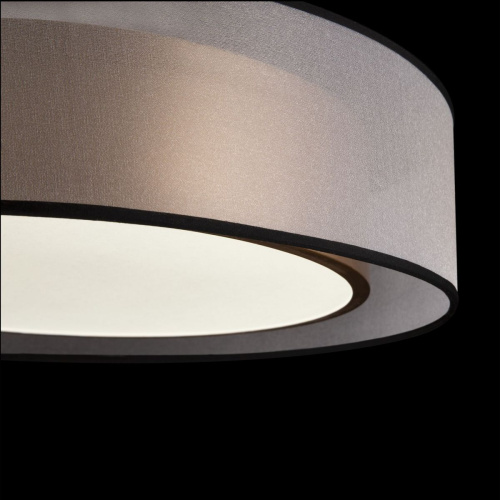 Потолочный светодиодный светильник Freya Zoticus FR6005CL-L36G фото 4