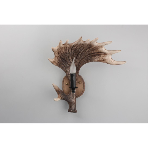 Светильник настенный (Бра) OML-52201-01 фото 5 Светильник настенный (Бра) OML-52201-01 фото 5