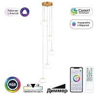 Подвесной светодиодный светильник Citilux Atman Smart CL226A053