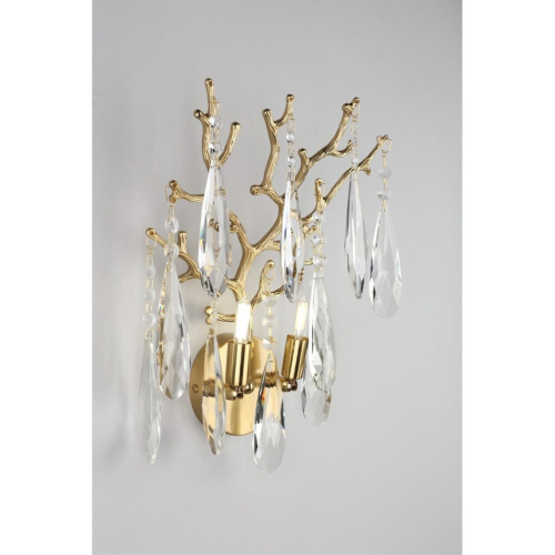 Светильник настенный (Бра) OML-52901-02 фото 4