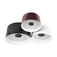 10360/3 Потолочный светильник LOFT IT Duo