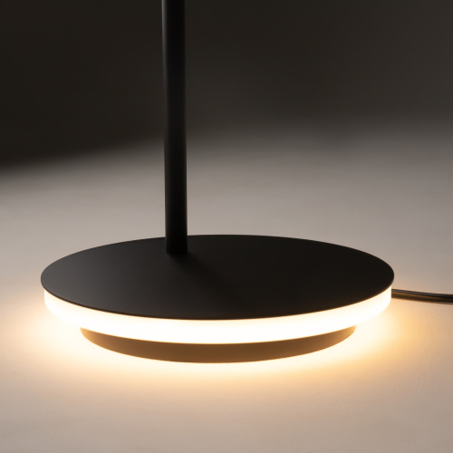 Напольный светильник (торшер) Maytoni Z010FL-L8B3K фото 6