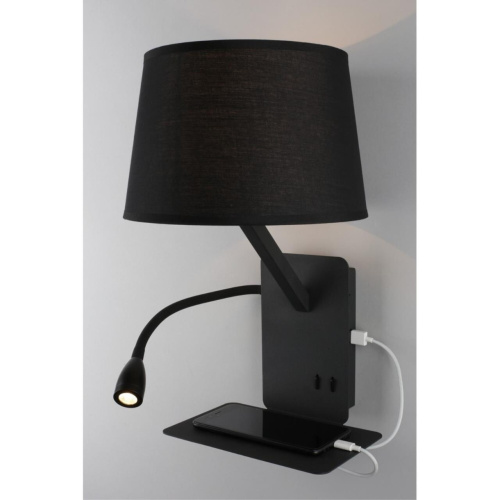 Светильник настенный (Бра) OML-62811-02 фото 6