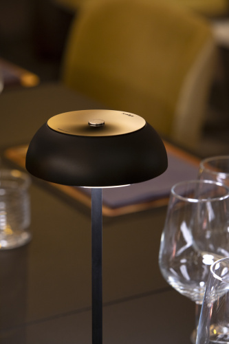 Настольная лампа Float Mauve Dust фото 2