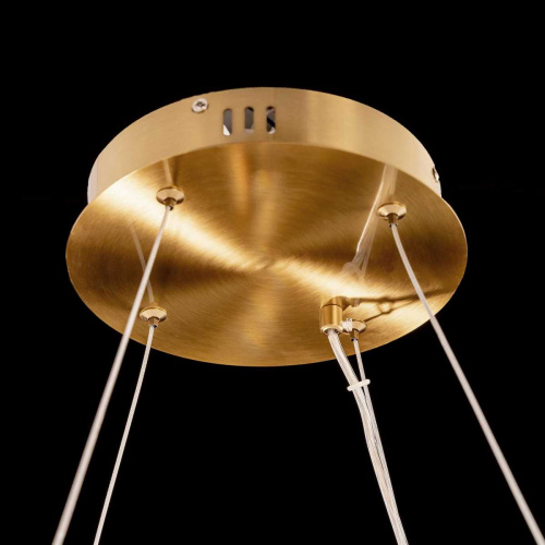 Подвесная светодиодная люстра Citilux Ричард CL336063 фото 8