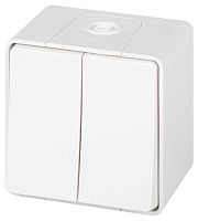 Переключатель ЭРА Эксперт 11-1506-01 двойной IP55 10АХ-250В ОУ белый Б0063295