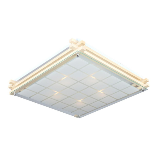 Светильник настенно-потолочный OML-40517-05