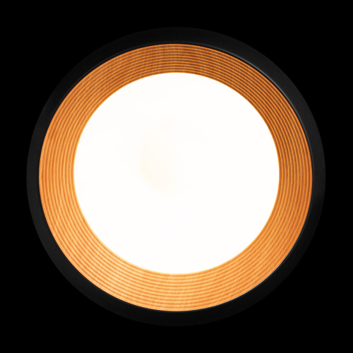 10255/500 Black Потолочный светильник LOFT IT Folk фото 5