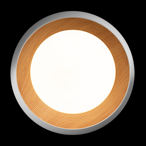 10255/500 White Потолочный светильник LOFT IT Folk фото 5 10255/500 White Потолочный светильник LOFT IT Folk фото 5