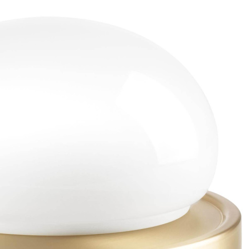 Настольная лампа Lightstar Alfa 745933 фото 5