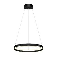 Подвесной светодиодный светильник Lightstar Rotonda 736407