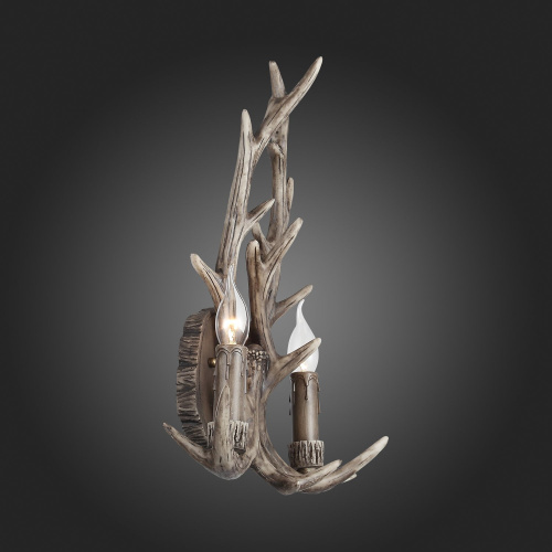 SL154.701.02 Бра ST-Luce Серый E14 2*40W CORNA фото 2