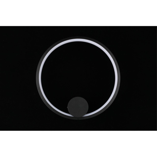 Светильник настенный (Бра) APL.055.11.09 фото 4