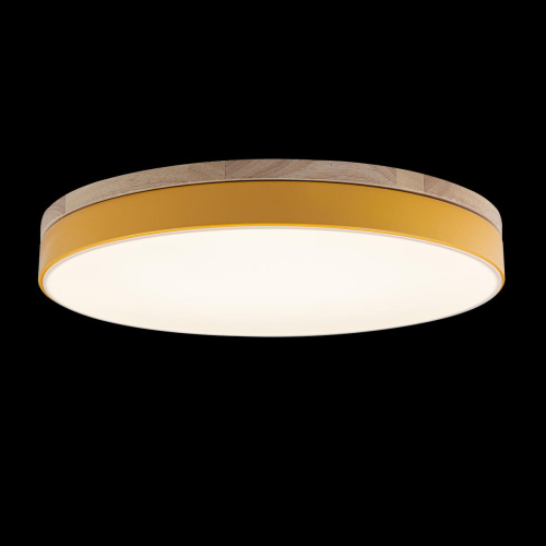 10001/36 Yellow Потолочный светильник LOFT IT Axel фото 2