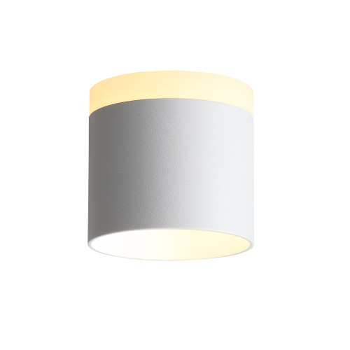 ST102.502.09 Светильник потолочный Белый LED 1*9W 3000K 702Lm Ra>80 120° IP20 D79xH75 170-240V Накладные светильники фото 8
