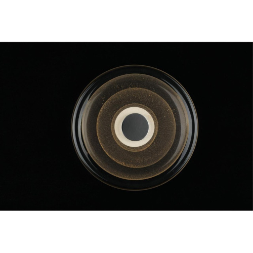 Светильник настенный (Бра) APL.350.01.03 фото 10