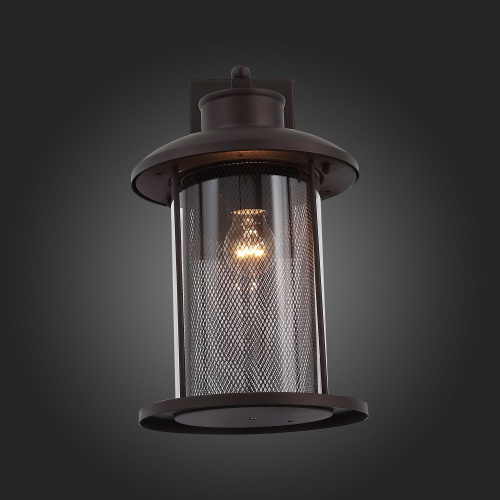 SL080.401.01 Светильник уличный настенный ST-Luce Темный кофе/Прозрачный, Темный кофе E27 1*60W LASTERO фото 2