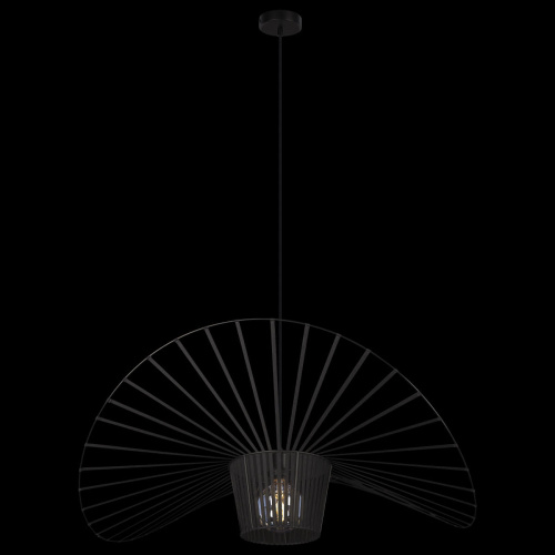 10246/800 Подвесной светильник LOFT IT Chapeau фото 4 10246/800 Подвесной светильник LOFT IT Chapeau фото 4