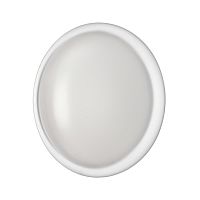 Настенно-потолочный светильник Sonex JOLLY 7776/DLN