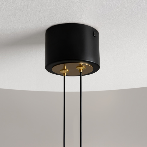 Подвесной светильник Maytoni MOD357PL-L20BS3K фото 3